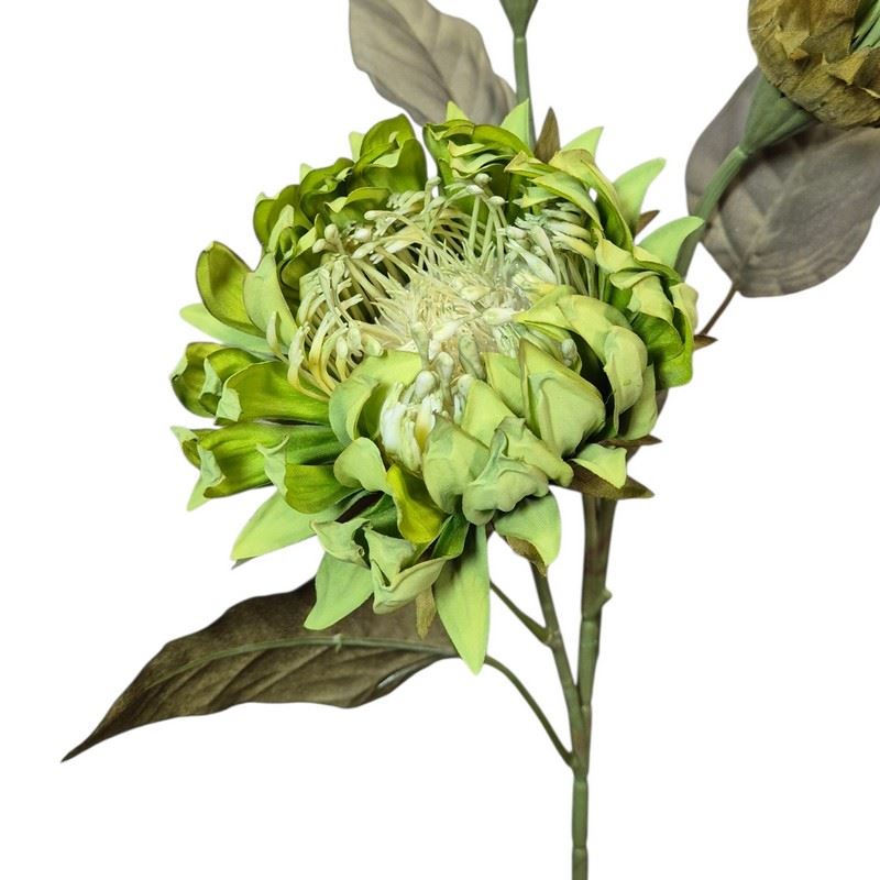 PROTEA 3 KWIATY 77CM /6387 GREEN