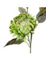 PROTEA 3 KWIATY 77CM /6387 GREEN