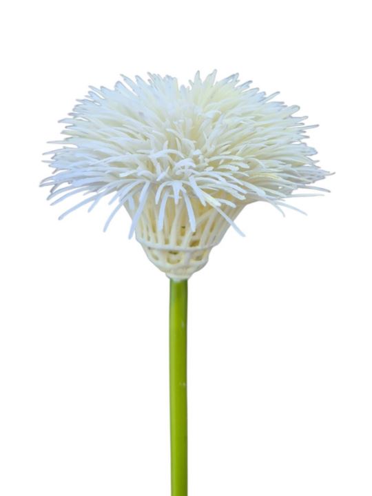GOŹDZIK BRODATY DODATEK FJ048 35CM CREAM