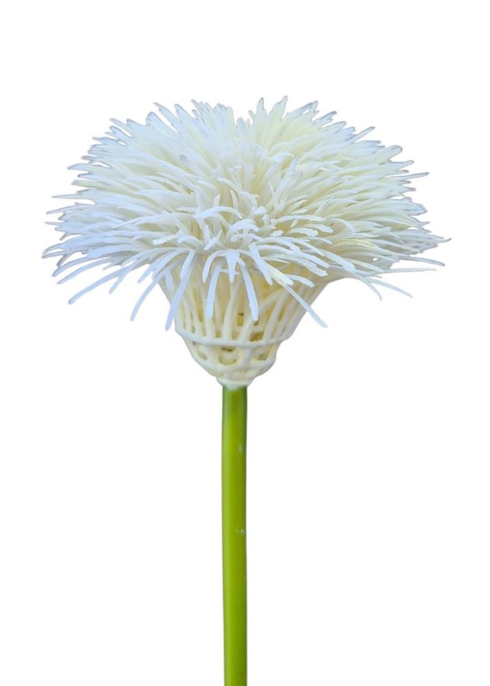 GOŹDZIK BRODATY DODATEK FJ048 35CM CREAM