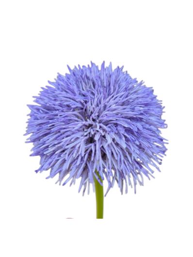 GOŹDZIK BRODATY DODATEK FJ048 35CM VIOLET