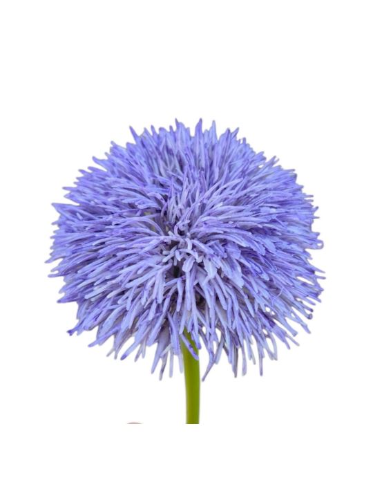 GOŹDZIK BRODATY DODATEK FJ048 35CM VIOLET