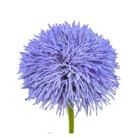 GOŹDZIK BRODATY DODATEK FJ048 35CM VIOLET