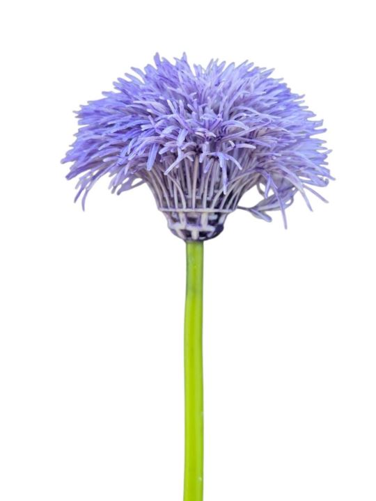 GOŹDZIK BRODATY DODATEK FJ048 35CM VIOLET