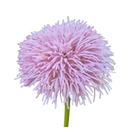 GOŹDZIK BRODATY DODATEK FJ048 35CM LT VIOLET
