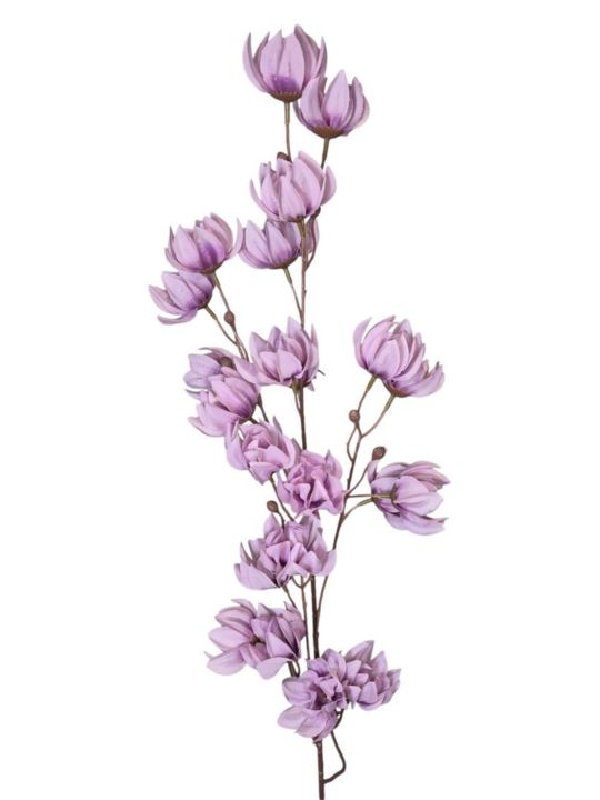 MAGNOLIA MONGOLSKA 100CM LILAC