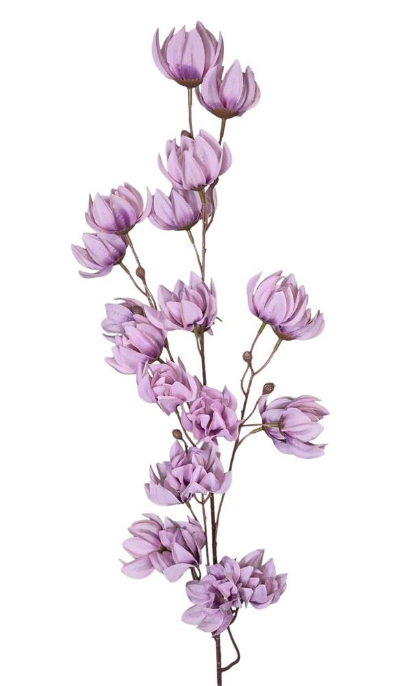 MAGNOLIA MONGOLSKA 100CM LILAC
