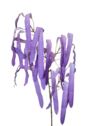 GROSZEK GAŁĄZKA 100CM PURPLE