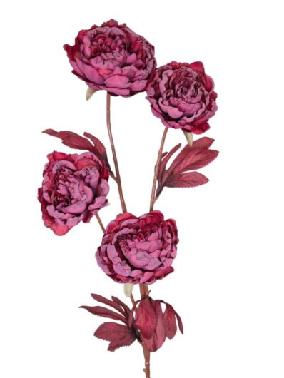 PEONIA PODSUSZANA 78CM BURGUNDY
