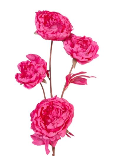 PEONIA PODSUSZANA 78CM PINK