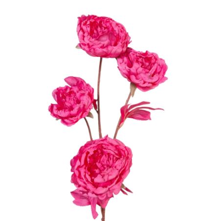 PEONIA PODSUSZANA 78CM PINK