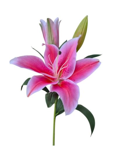 LILIA GAŁĄZKA 89CM REAL TOUCH PINK