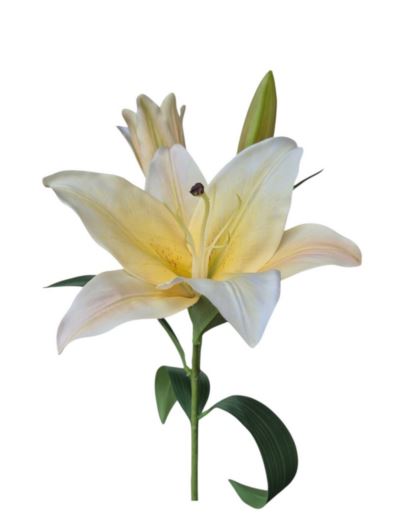 LILIA GAŁĄZKA 89CM REAL TOUCH YELLOW