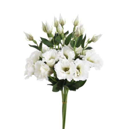 EUSTOMA SPRAY SUN357 WHITE DIRTY GREEN