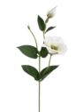 EUSTOMA SPRAY SUN357 WHITE DIRTY GREEN