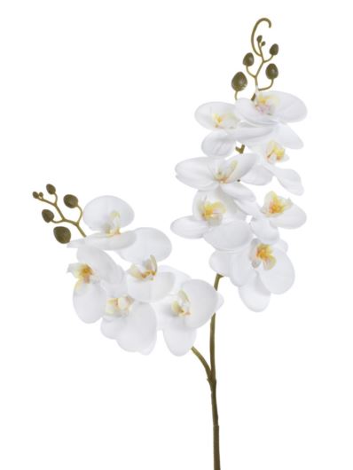 STORCZYK DWA PĘDY 64CM ECO031 RT WHITE