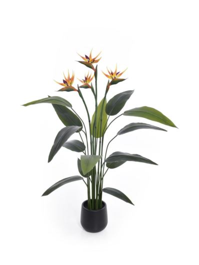 STRELICJA W DONICZCE 150CM GREE036 GREEN ORANGE