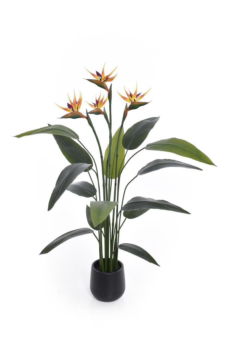 STRELICJA W DONICZCE 150CM GREE036 GREEN ORANGE