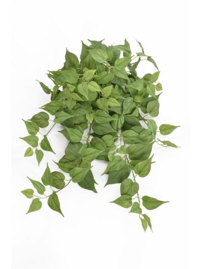 BLUSZCZ POTHOSU 82CM GREE066 LT GREEN