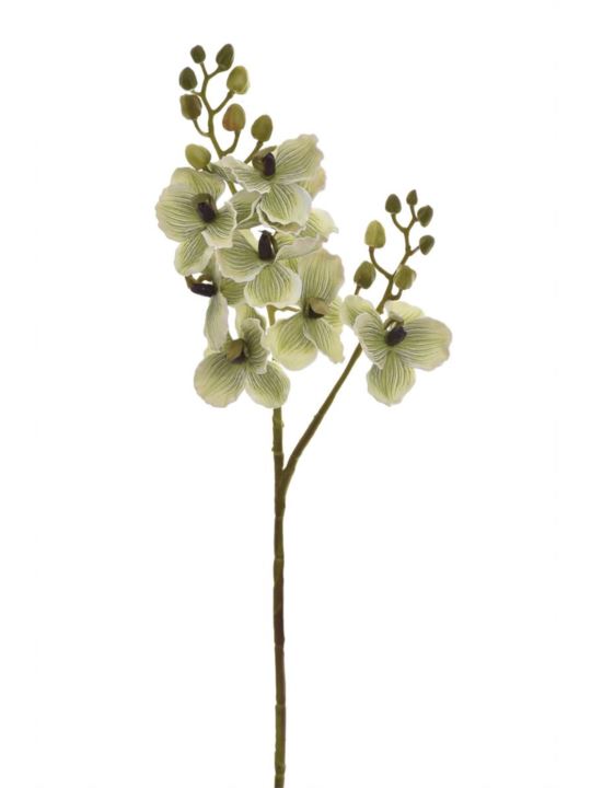 STORCZYK GAŁĄZKA 60CM LEV012 LT GREEN