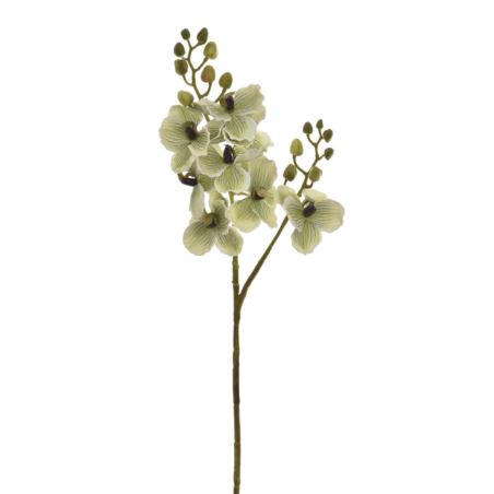 STORCZYK GAŁĄZKA 60CM LEV012 LT GREEN