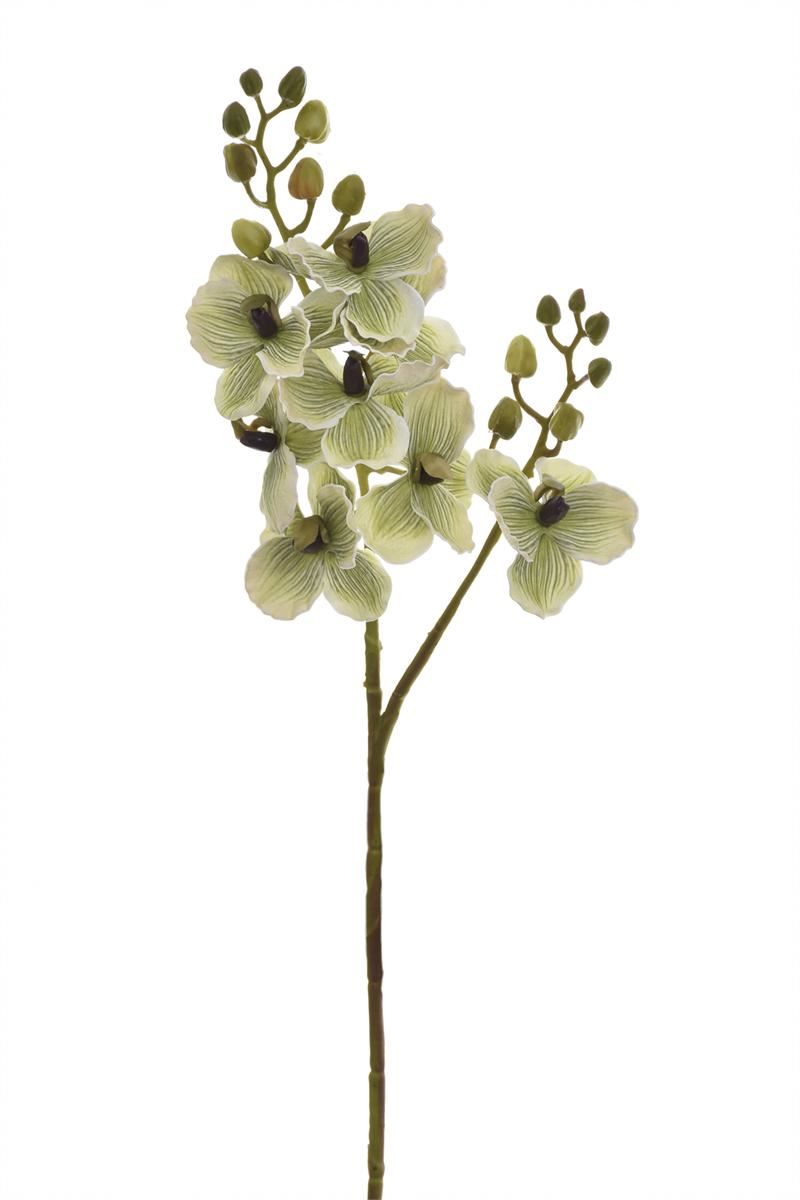 STORCZYK GAŁĄZKA 60CM LEV012 LT GREEN