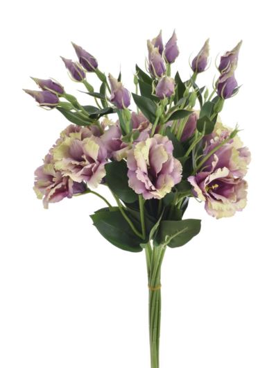 EUSTOMA NA PIKU 47CM SUN357 DIRTY VIOLET GREEN