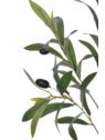 OLIWKA GAŁĄZKA Z OWOCAMI 79CM WEI1035 GREEN