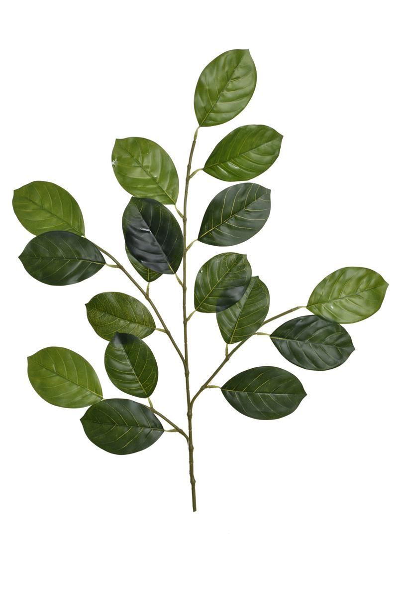 OLCHA LIŚĆ GAŁĄZKA 78CM GREE024 LT GREEN