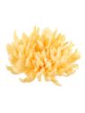 CHRYZANTEMA PŁASKA 20CM LIGHT GOLDEN YELLOW