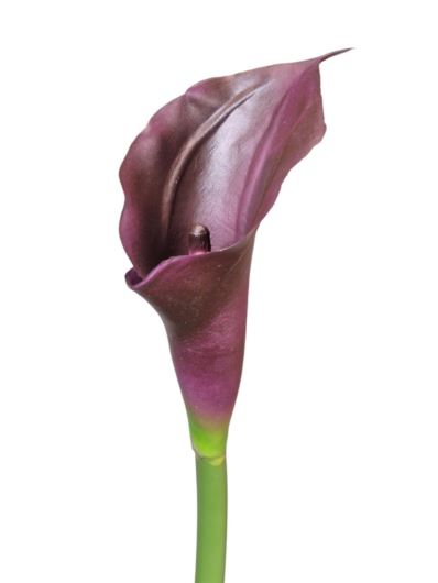 CALLA - GUMA RURKA M  72CM C34 DK PURPLE