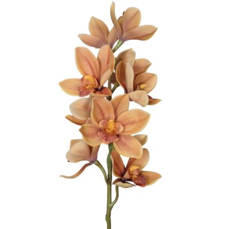 STORCZYK CYMBIDIUM 76CM BROWN YELLOW
