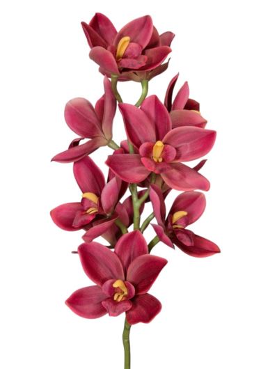 STORCZYK CYMBIDIUM 76CM BROWN ORANGE RED