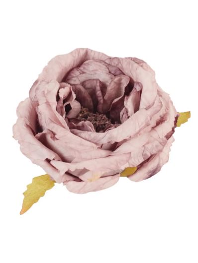 RÓŻA DZIKA VINTAGE – GŁÓWA 9CM OLD MAUVE