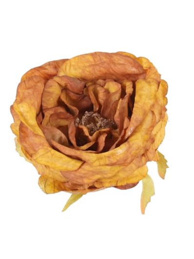 RÓŻA DZIKA VINTAGE – GŁÓWA 9CM BROWN ORANGE