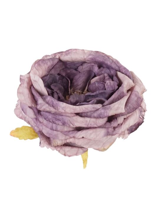 RÓŻA DZIKA VINTAGE – GŁÓWA 9CM OLD VIOLET