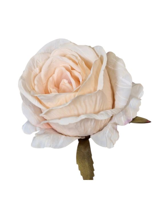 RÓŻA GŁÓWKA VINTAGE 8CM OLD DIRTY CREAM