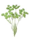 KOPER GAŁĄZKA DODATEK 80CM GREEN
