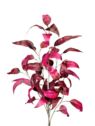 LIŚCIE DEKORACYJNE GAŁĄZKA 86CM BEAUTY BURGUNDY