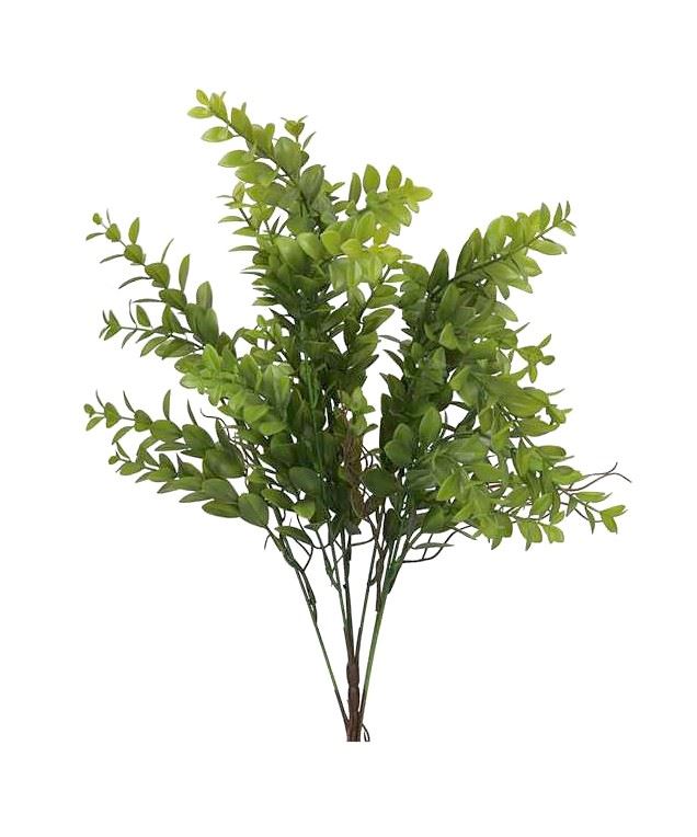 BUKSZPAN-BORÓWKA BUKIET DROBNE LISTKI 56CM GREEN