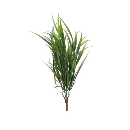 TRAWA - DRACENA LISTKI BUKIET 50CM GREEN
