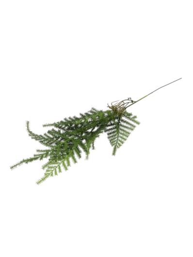 PAPROTKA ASPARAGUS WPINKA 55CM GREEN