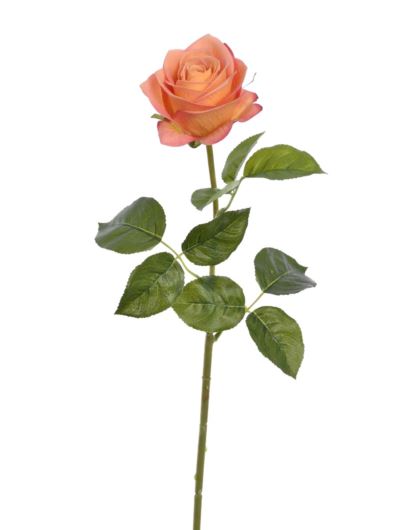 RÓŻA NA ŁODYDZE 68CM TAJ1029 RT TEA