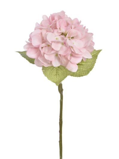 HORTENSJA POJEDYNCZA 60CM TAJ1025 RT POWDER PINK