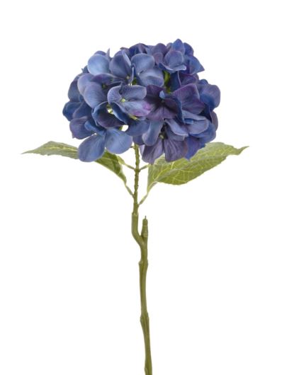 HORTENSJA POJEDYNCZA 60CM TAJ1025 RT SAPHIRE