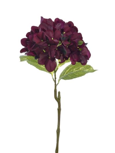 HORTENSJA POJEDYNCZA 60CM TAJ1025 RT BURGUNDY