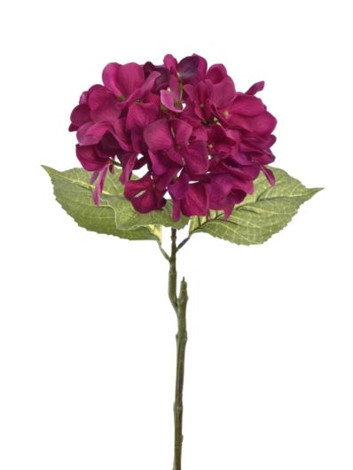 HORTENSJA POJEDYNCZA 60CM TAJ1025 FUCHSIA