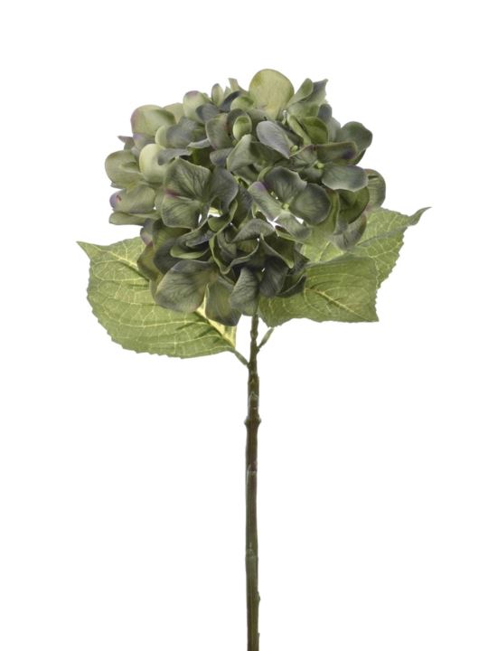 HORTENSJA POJEDYNCZA 60CM TAJ1025 DEEP GREEN