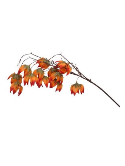 MIECHUNKA OTWARTA GAŁĄZKA 80CM FLAME ORANGE