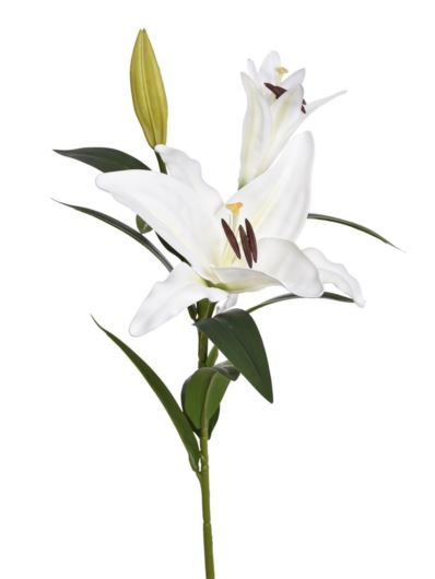 LILIA GAŁĄZKA 76CM PIANKA LEV035 WHITE